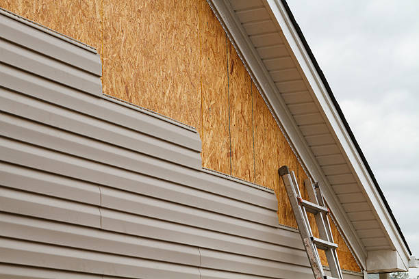 Professional Siding Inspection technician working in Duluth, WA